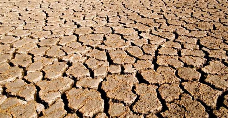 Drought in Tamil Nadu