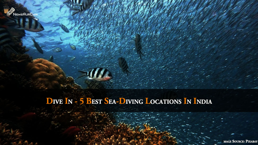 Dive In - 5 Best Sea-Diving Locations In India