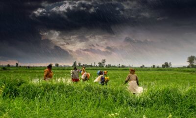 Farmer Law In India