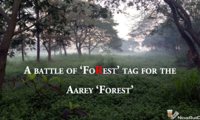 Aarey Forest 2018