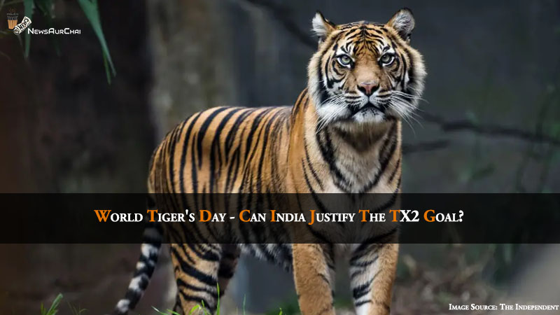 Tiger's Day 2019, 3000 Tigers in India