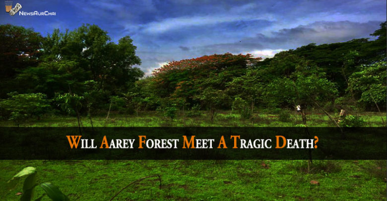 Will Aarey Forest Meet A Tragic Death?