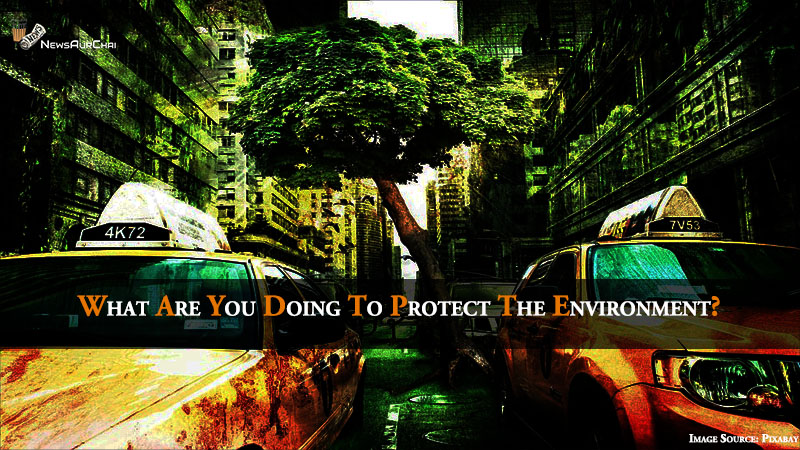 What Are You Doing To Protect The Environment?