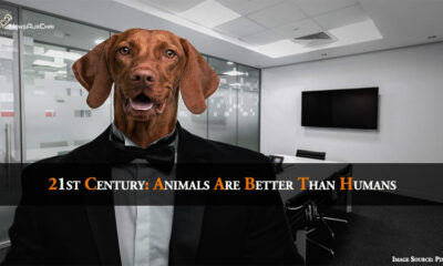 21st Century: Animals Are Better Than Humans