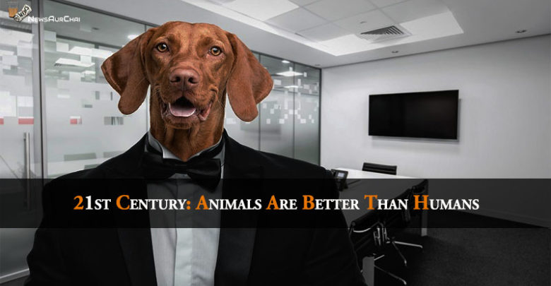 21st Century: Animals Are Better Than Humans