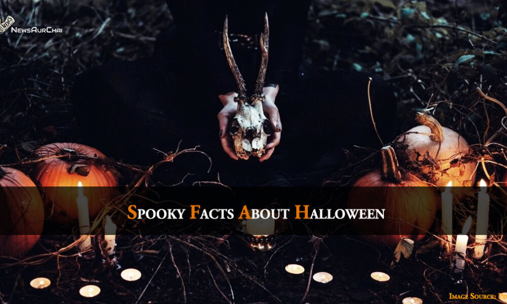 Spooky Facts about Halloween