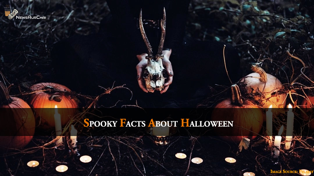 Spooky Facts about Halloween