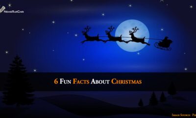 6 Fun Facts About Christmas
