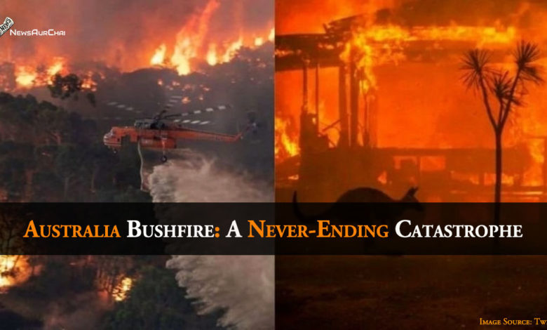 Australia Bushfire: A Never-Ending Catastrophe