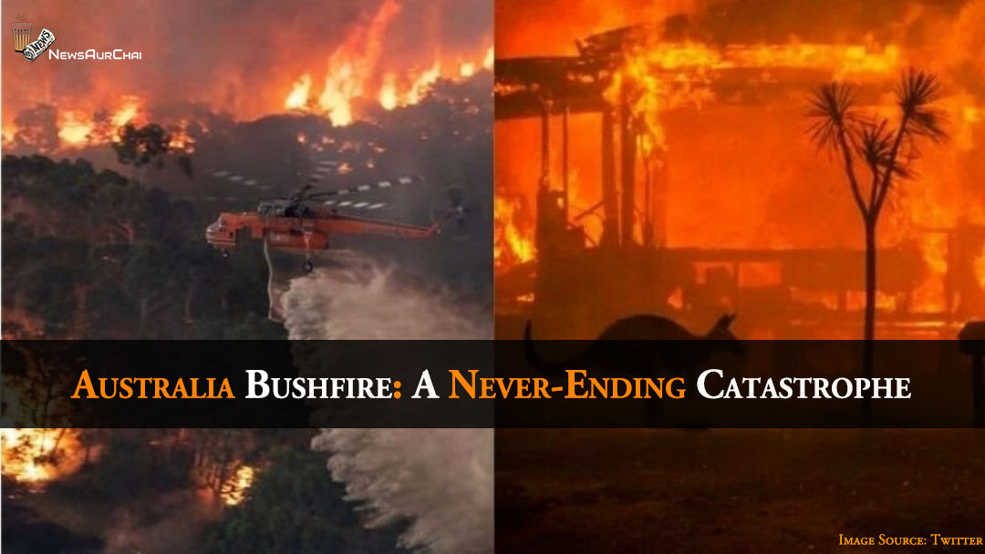 Australia Bushfire: A Never-Ending Catastrophe