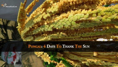 Pongal: 4 Days To Thank The Sun