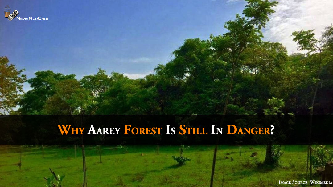 Why Aarey Forest Is Still In Danger?
