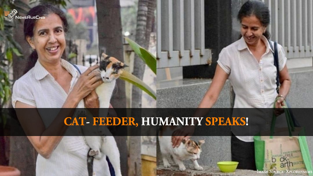 Cat - Feeder, Humanity Speaks!