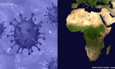 World Health Organisation Warned Africa To Prepare For The Worst To fight against COVID-19