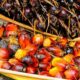 Major Palm Oil Problem: Ethical Take