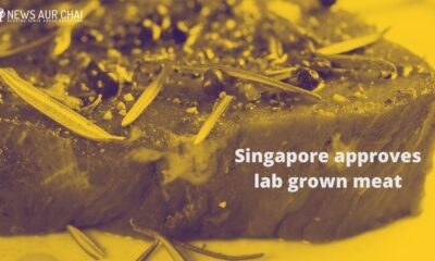Singapore approves lab grown meat