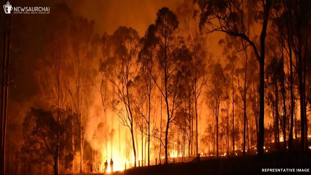 Odisha Wildfire 2021 | News Aur Chai
